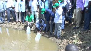 Releasing fish fingerlings into a new pond in Kenya 